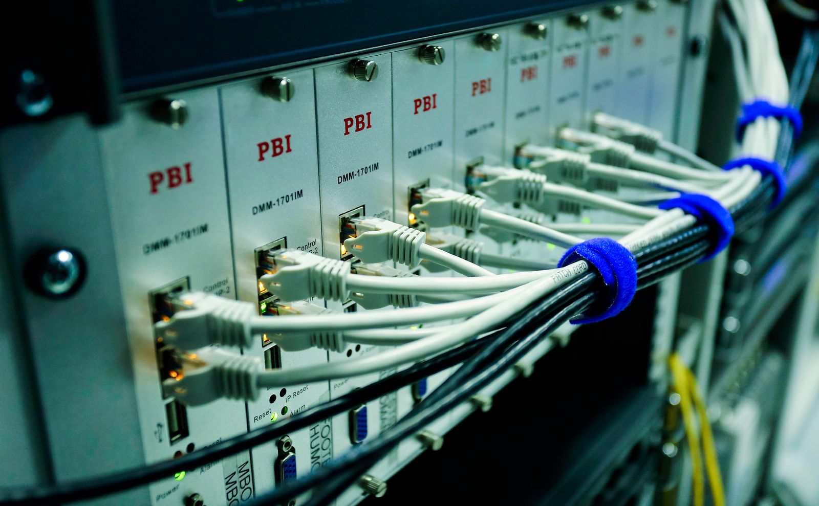 Cables de red conectados a un switch en primer plano